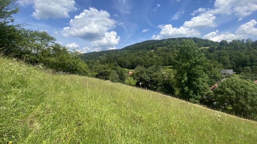 Prodej pozemku pro bydlení, Nový Hrozenkov, 1053 m2