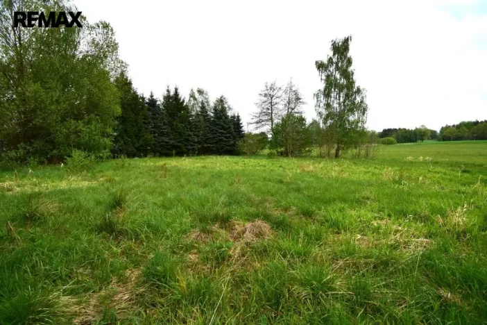 Prodej pozemku pro bydlení, Kostelní Radouň, 993 m2