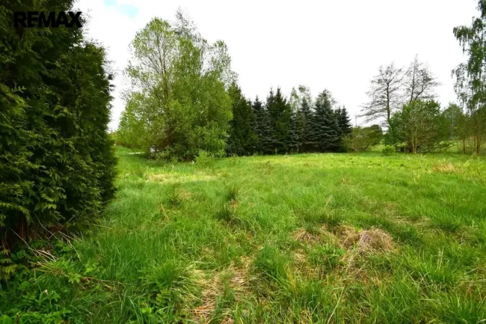 Prodej pozemku pro bydlení, Kostelní Radouň, 993 m2