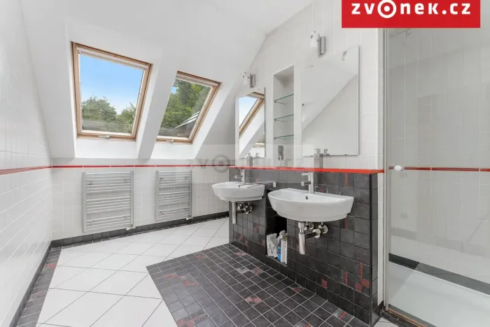 Prodej vily, Hranice - Hranice I-Město, 540 m2