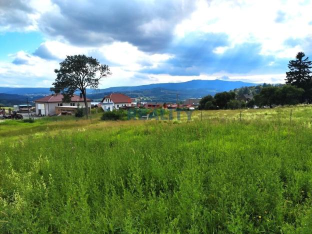 Prodej pozemku pro bydlení, Horní Planá, 1559 m2