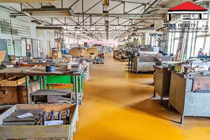 Prodej pozemku pro komerční výstavbu, Aš, Selbská, 11327 m2