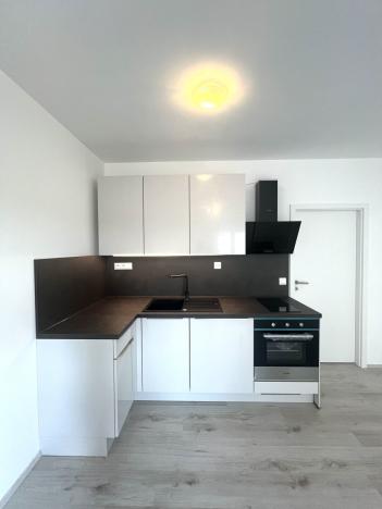Pronájem bytu 1+kk, Zbůch, K Újezdu, 29 m2