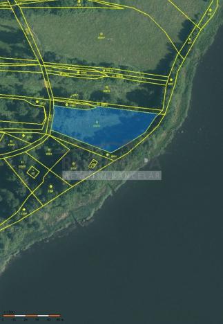 Prodej trvalého travního porostu, Kačlehy, 3234 m2