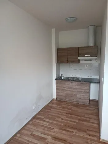 Pronájem bytu 1+kk, Ústí nad Labem - Předlice, Prostřední, 20 m2