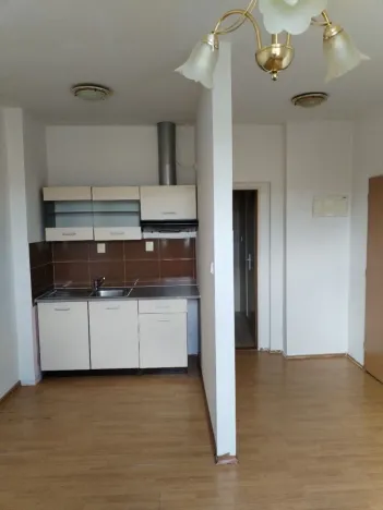 Pronájem bytu 1+kk, Ústí nad Labem - Předlice, Prostřední, 20 m2