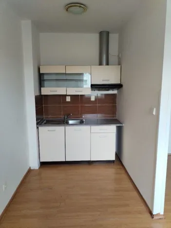 Pronájem bytu 1+kk, Ústí nad Labem - Předlice, Prostřední, 20 m2