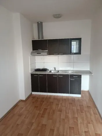 Pronájem bytu 1+kk, Ústí nad Labem - Předlice, Mahenova, 22 m2
