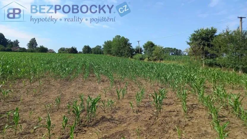 Prodej komerčního pozemku, Havlíčkův Brod - Termesivy, 20005 m2