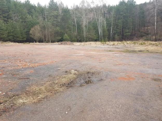 Pronájem pozemku, Bělá pod Bezdězem, 85000 m2