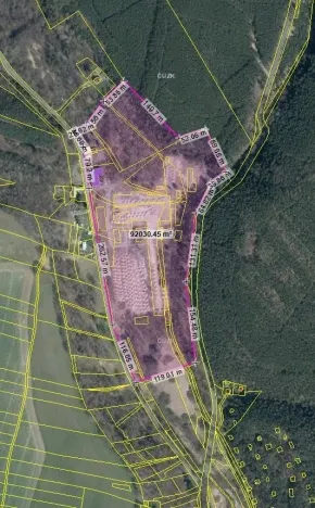 Pronájem komerčního pozemku, Bělá pod Bezdězem, 50000 m2