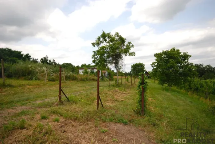 Prodej chaty, Břeclav - Charvátská Nová Ves, 15 m2