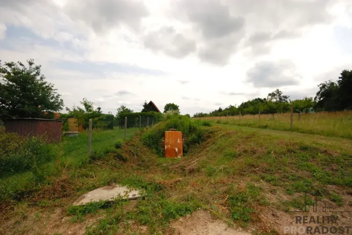 Prodej chaty, Břeclav - Charvátská Nová Ves, 15 m2