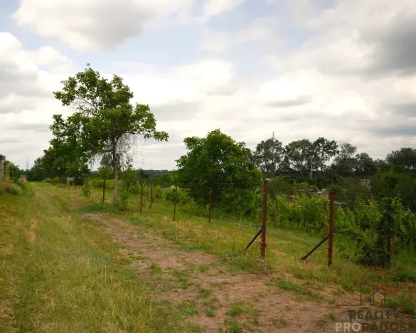 Prodej chaty, Břeclav - Charvátská Nová Ves, 15 m2