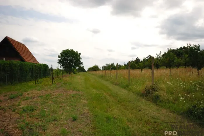Prodej vinného sklepa, Břeclav - Charvátská Nová Ves, 15 m2