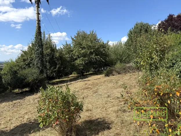 Prodej zahrady, Samotišky, 770 m2