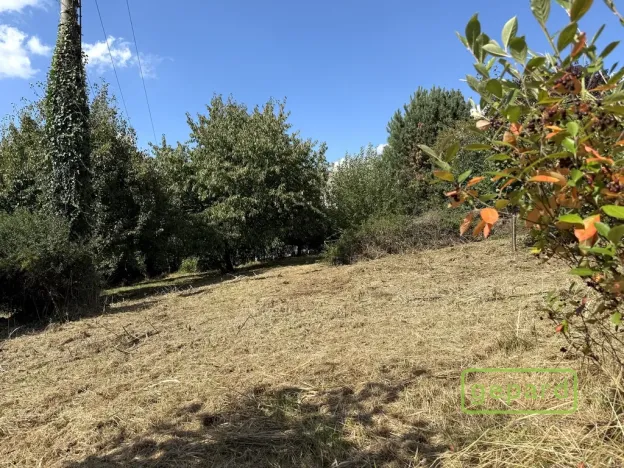 Prodej zahrady, Samotišky, 770 m2