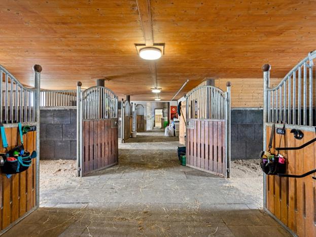 Prodej - jiné, Velké Chvojno, 1241 m2