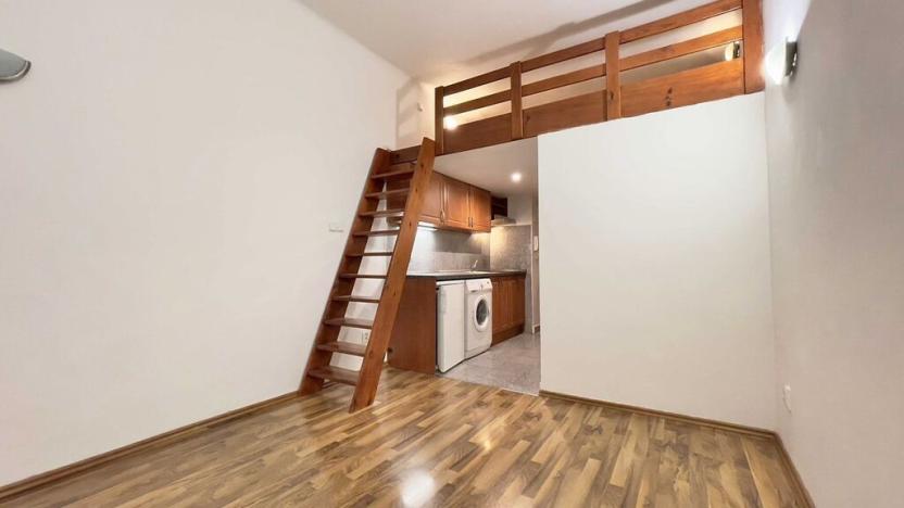 Pronájem bytu 1+kk, Praha - Vysočany, Freyova, 17 m2