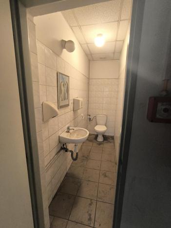 Pronájem výrobních prostor, Hradec Králové - Slezské Předměstí, Bieblova, 1500 m2