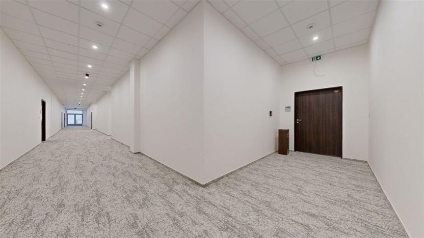 Pronájem komerční nemovitosti, Ústí nad Labem - Ústí nad Labem-centrum, Masarykova, 100 m2