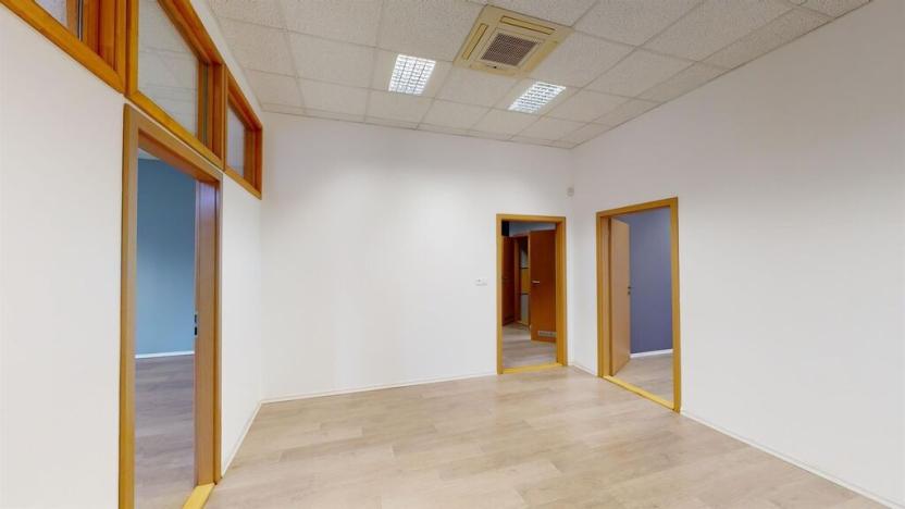 Pronájem komerční nemovitosti, Ústí nad Labem - Ústí nad Labem-centrum, Masarykova, 100 m2