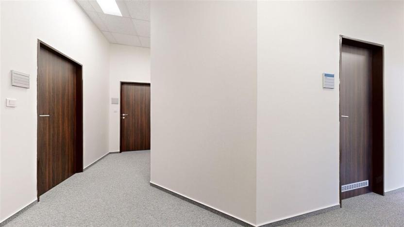 Pronájem komerční nemovitosti, Ústí nad Labem - Ústí nad Labem-centrum, Masarykova, 100 m2