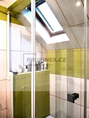 Prodej vily, Kraslice, Rybná, 420 m2