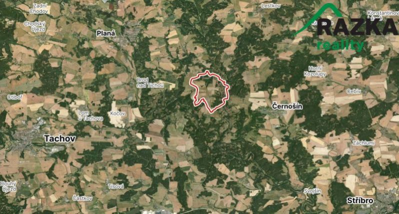 Prodej pozemku pro bydlení, Planá - Svahy, 662 m2