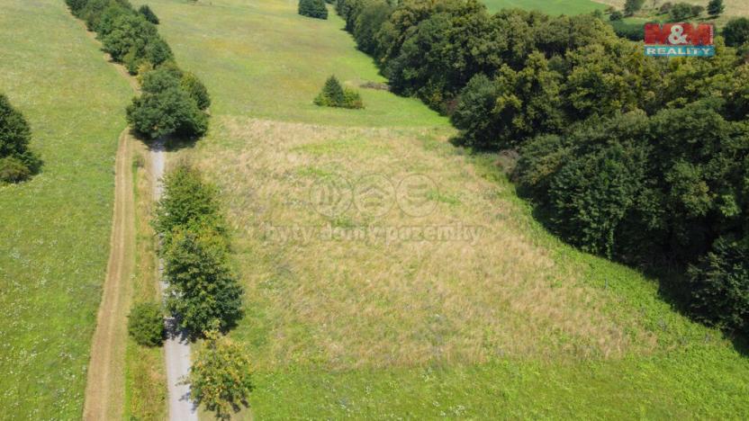 Prodej trvalého travního porostu, Nový Jičín, 7411 m2