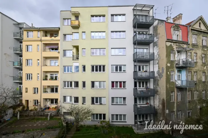 Pronájem bytu 2+kk, Brno - Staré Brno, Pekařská, 29 m2