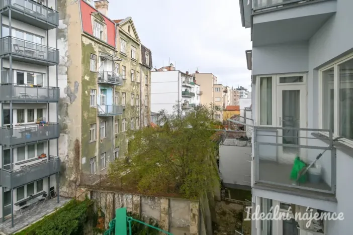 Pronájem bytu 2+kk, Brno - Staré Brno, Pekařská, 29 m2