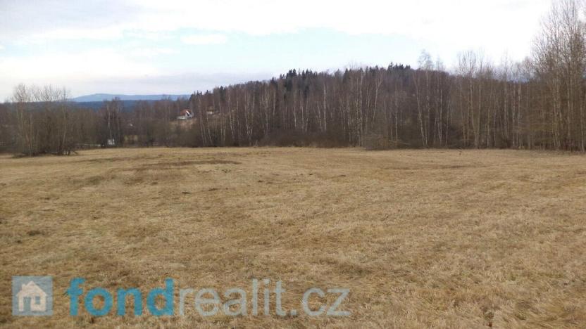 Prodej pozemku, Horní Planá, 22889 m2