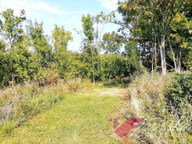 Prodej pozemku pro bydlení, Kopidlno, 8371 m2