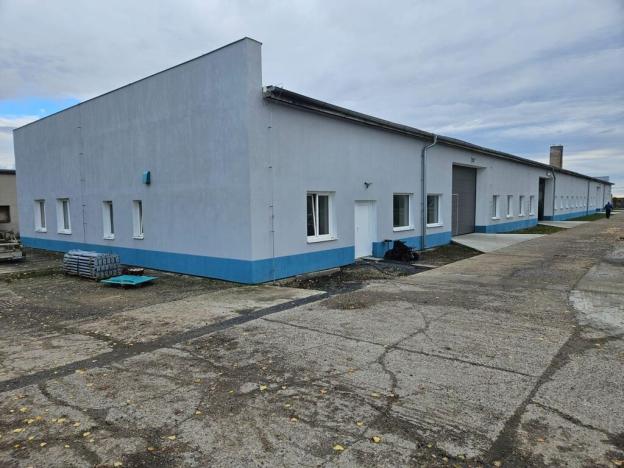 Pronájem skladu, Děčany - Solany, 1499 m2