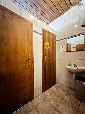 Pronájem ubytování, Mikulov, Růžová, 980 m2