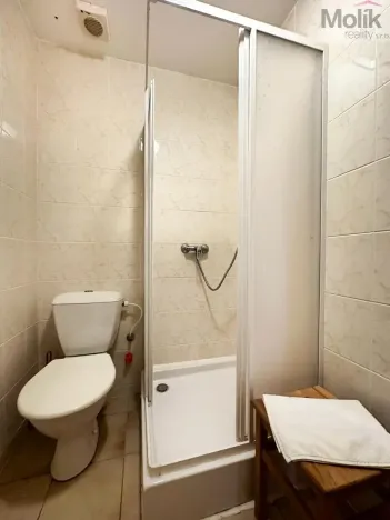 Pronájem ubytování, Mikulov, Růžová, 980 m2