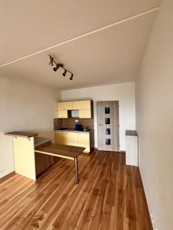 Pronájem bytu 1+kk, Olomouc - Hodolany, Kavaleristů, 26 m2
