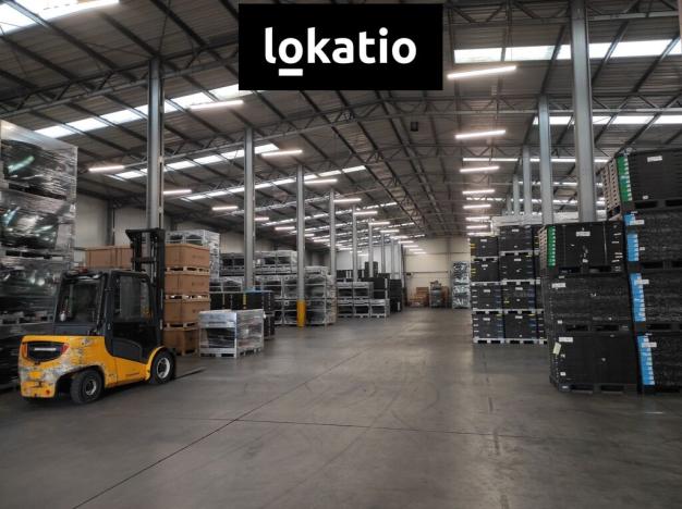 Pronájem skladu, Teplice, 2613 m2