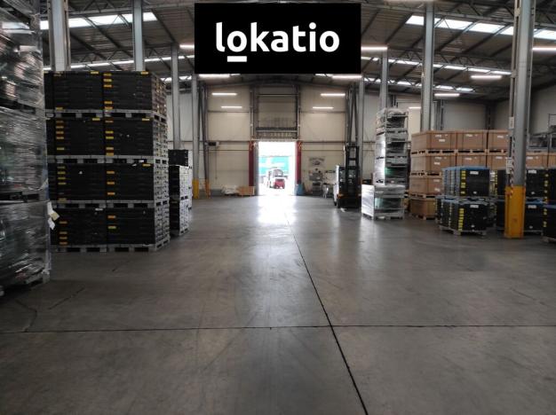 Pronájem skladu, Teplice, 2613 m2