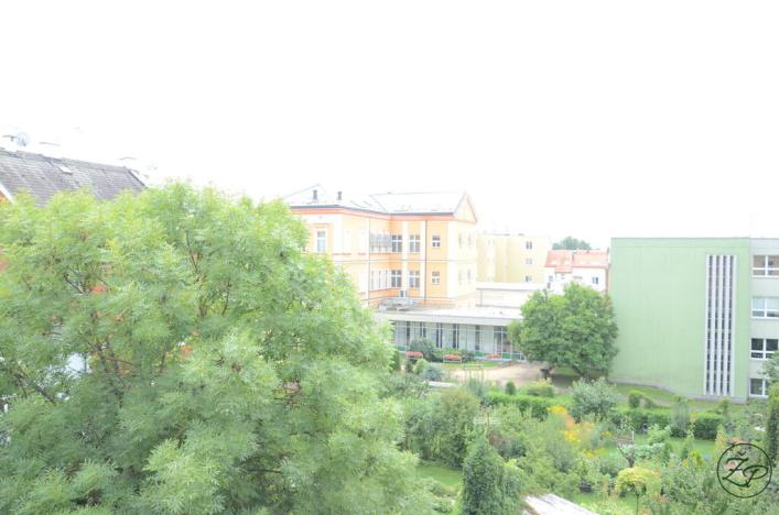 Pronájem bytu 2+1, Hradec Králové - Pražské Předměstí, Gočárova třída, 75 m2