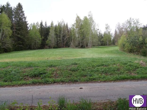 Prodej podílu 1/3 pole, Přední Výtoň, Přední Výtoň, 4039 m2