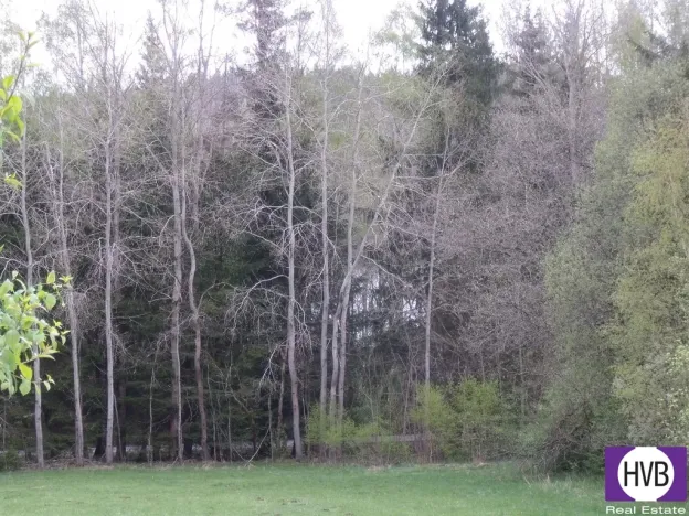 Prodej podílu 1/3 pole, Přední Výtoň, Přední Výtoň, 4039 m2