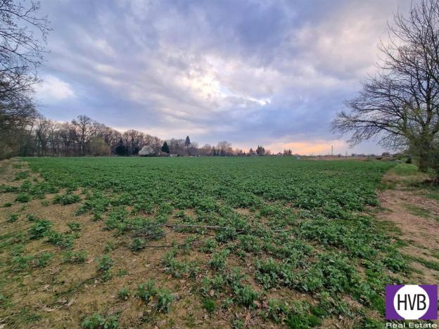 Prodej zahrady, Praha, 15000 m2