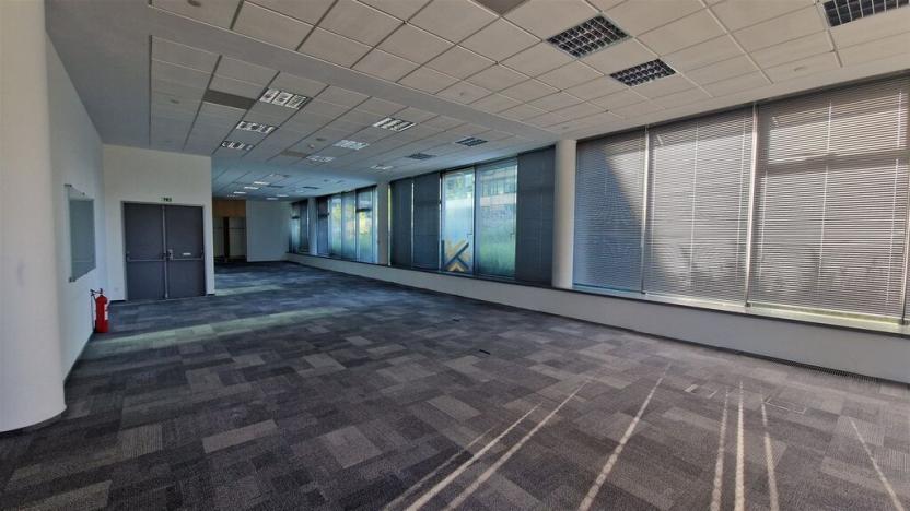 Pronájem kanceláře, Praha - Chodov, V parku, 281 m2