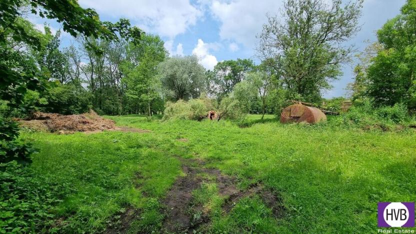 Prodej komerční nemovitosti, Královice, 6674 m2