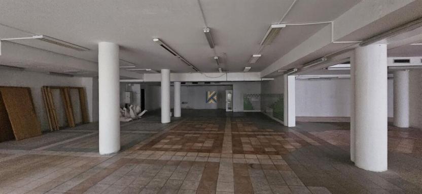 Pronájem obchodního prostoru, Praha - Vinohrady, Chrudimská, 376 m2