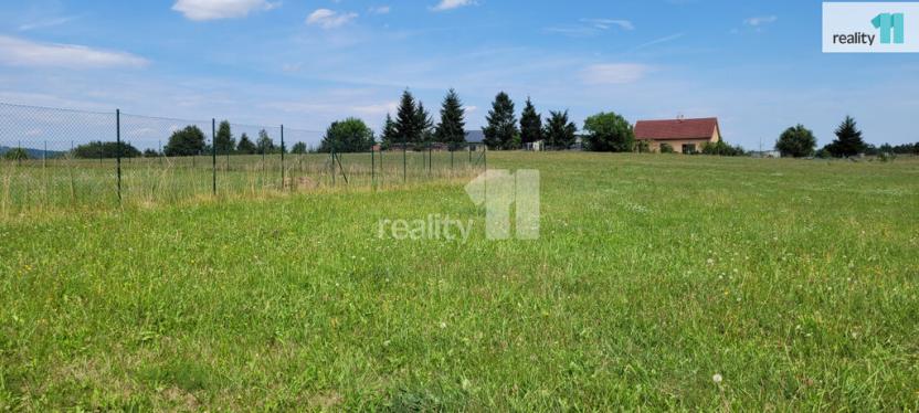 Prodej pozemku pro bydlení, Čížová - Topělec, 4210 m2