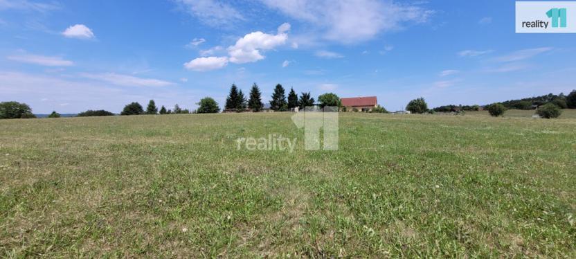 Prodej pozemku pro bydlení, Čížová - Topělec, 4210 m2