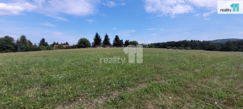 Prodej pozemku pro bydlení, Čížová - Topělec, 4210 m2